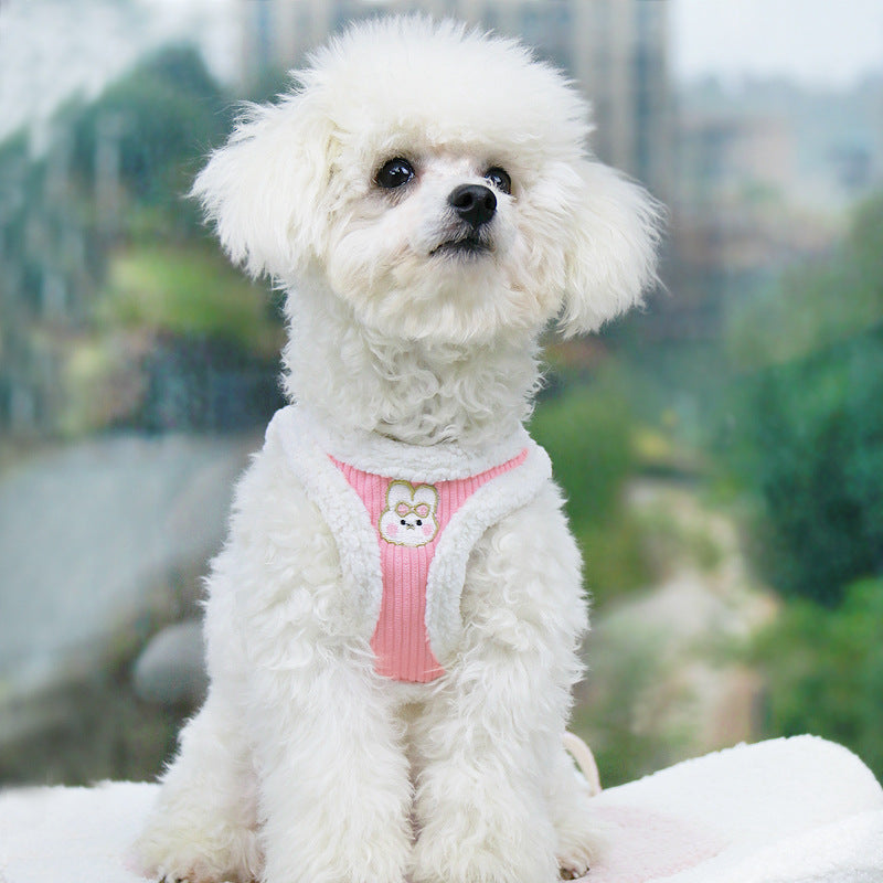 Elevate Your Pet's Walking Experience with Our Pet Vest Harness